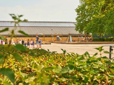 Skolen